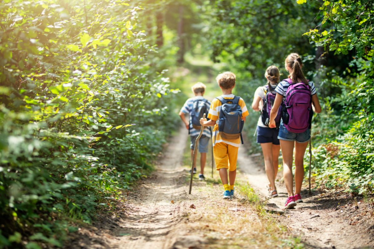 Excursión al aire libro. Actividad con niños.